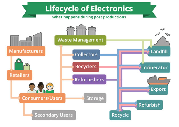 lifecycle